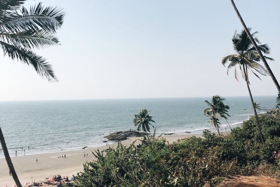 A palm-fringed beach on the Kerala coast