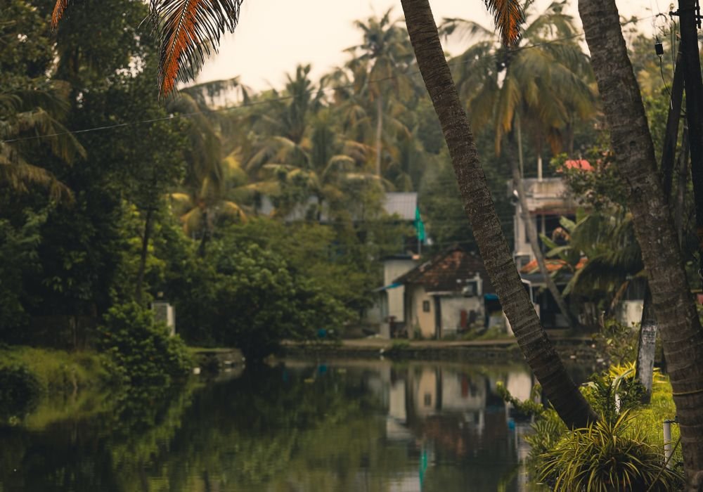 A narrow palm-lined backwater canal