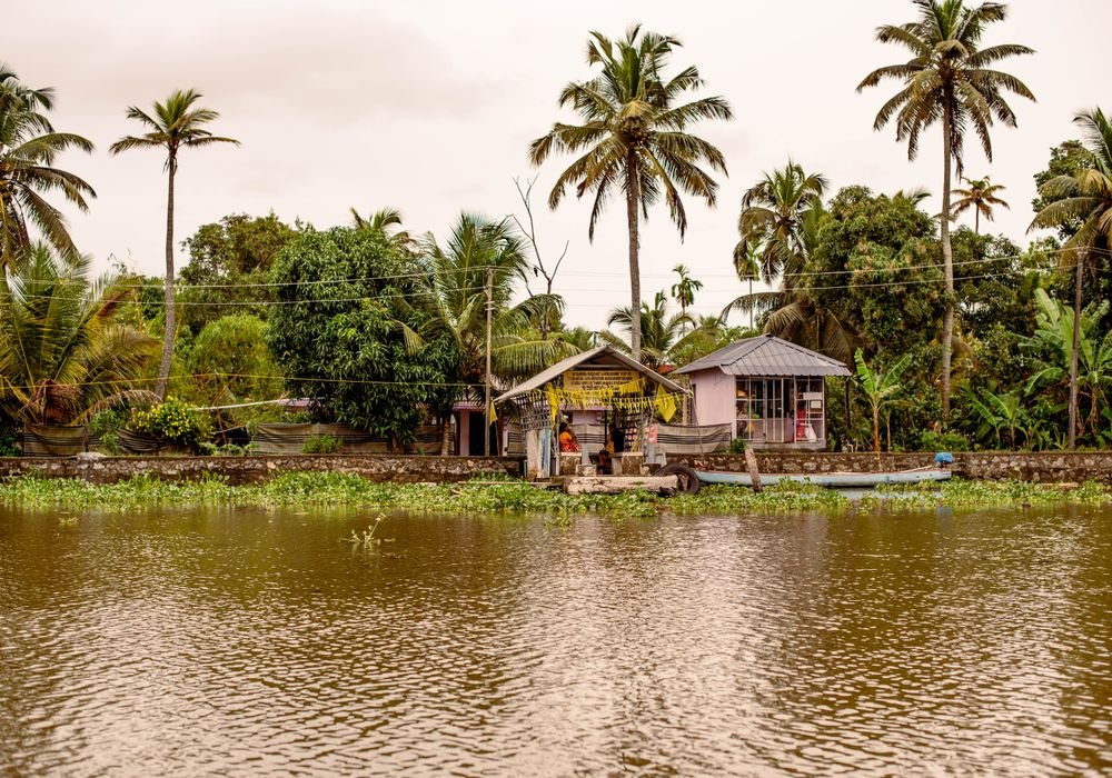 Thatched buildings among palms at the water's edge