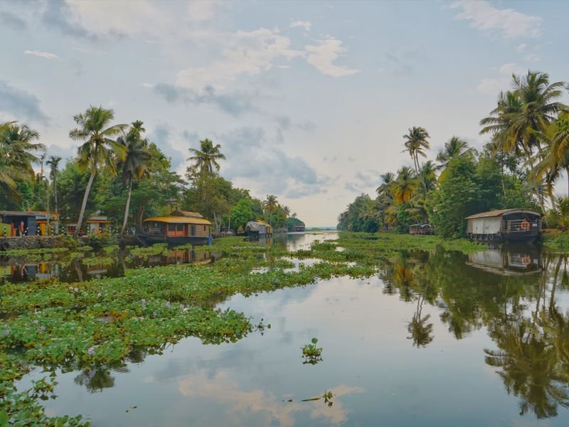 A backwater canal lined with palms in Kerala